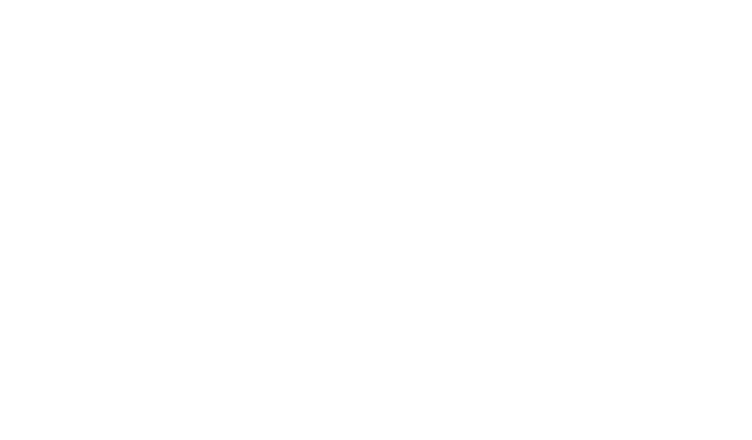 DYZ